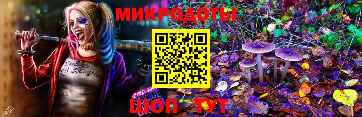 Галлюциногенные грибы мухоморы Горно-Алтайск